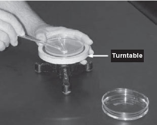 Using a bent glass rod and a turntable to spread a bacterial sample