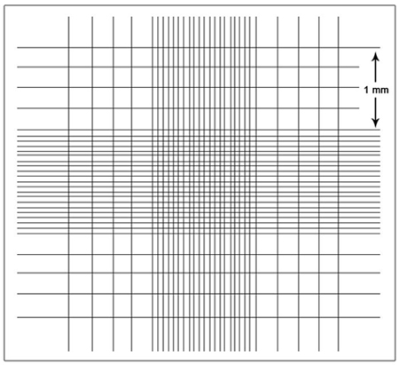 FIGURE 1 Schematic of one chamber grid of a hemocytometer with Neubauer ruling.