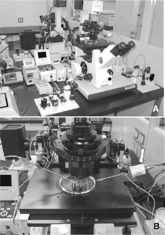 FIGURE 1 Micromanipulator and piezo system. (A) Equipment includes an inverted microscope with Hoffman optics, two injectors, air cushion, and warming plate on the stage of the microscope. (B) Piezo impact unit attached to the injection pipette holder (arrow).