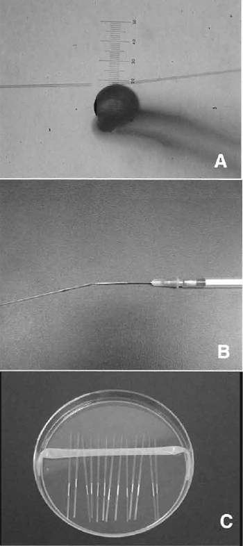 FIGURE 2 Injection pipette and storage. (A) Breaking the tip of a pipette using a microforge. The inner diameter of the tip depends on donor cell size. (B) Inject a small mount of mercury into the pipette using a 1-ml syringe with a 26-gauge needle. (C) Storage of the pipettes in a 10-cm dish. All pipettes are attached softly on sticky tape.