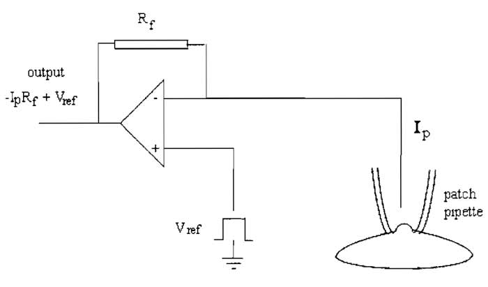 FIGURE 1 A headstage current/voltage amplifier.