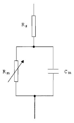FIGURE 3 A simple electrical analog of the cell.