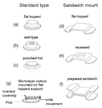 FIGURE 1 Examples of supports used for mounting specimens prior to freezing. (a and b) Standard supports
for knife fracturing made either from a gold-nickel alloy 
(Balzers) or from copper (e.g., Reichert Cryofract, 
Polaron). (c) An inexpensive alternative, compatible with 
the same type of specimen table, punched out from a 
copper sheet. (d-f) Mounting systems for fracturing 
specimens in double-replica devices. Different designs of 
these mounts are used in different freeze-fracture plants. 
(d and e) Different types of mount used to sandwich thin 
specimens as shown in f. When a pair of flattopped 
mounts (d) is used, a spacer may be included to prevent 
compression of the sample. (g) Use of a standard 
flat-topped support and PVA for mounting of cells 
cultured on a plastic coverslip. Reproduced
from Severs and Shotton (1995), with permission.