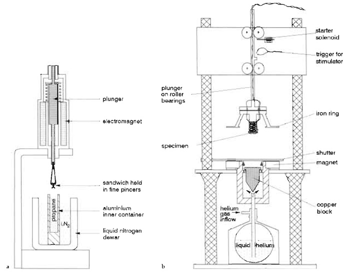 FIGURE 2 Examples of rapid freezing apparatus. (a) An example of a solenoid-operated plunge-freezing apparatus [adapted from Escaig (1982), with permission]. (b) A metal block slam-freezing device (Heuser version). The specimen is mounted on a detachable freezing head, which plugs into the plunger, the highly polished pure copper block is cooled from below with a spray of liquid helium, and the plunger is allowed to fall onto the block under gravity. The original device was set up to permit stimulation in nerve muscle preparations. From Heuser et al. (1979), with permission.
