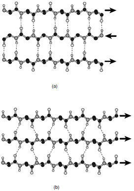 7 Ball-and-stick representations of (a) antiparallel and (b) parallel β-sheets. By convention the direction of the polypeptide chain is taken to run from the N-terminus to the C-terminus.