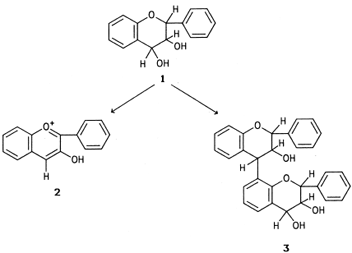 Basic structures of leucoanthocyanidins (1), anthocyanidins (2), and dimeric leucoanthocyanidins (3).