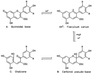Four anthocyanin structures present in aqueous acidic solutions: R is usually H, OH, or OCH3. Gl is glycosyl. [Adapted from Brouillard, R. (1982). In “Anthocyanins as Food Colors” (P. Markakis, ed.), Academic Press, New York.]