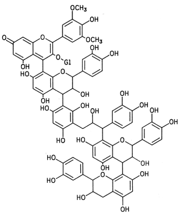 Proposed structure for a polymeric red-brown pigment in aging red wine. [From Somers, T. C. (1971). Phytochemistry 10, 2184.]