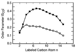 Effect of cholesterol. Order parameter of the <em>sn-</em2 chain in DPPC bilayers without () and with () 50 mol% cholesterol as function of carbon atom. [From Smondyrev and Berkowitz (1999). Biophys. J. 77, 2075.]