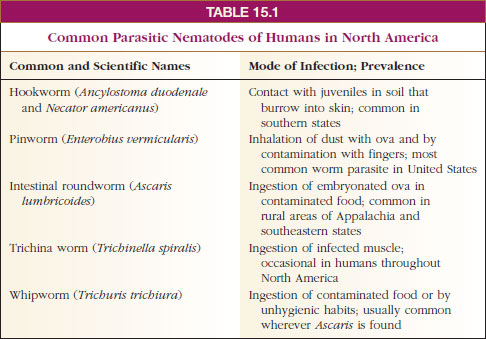 Common Parasitic Nematodes of Humans in North America