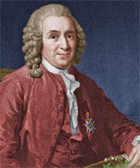 Carolus Linnaeus was 