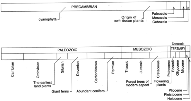 The Geologic Time Chart