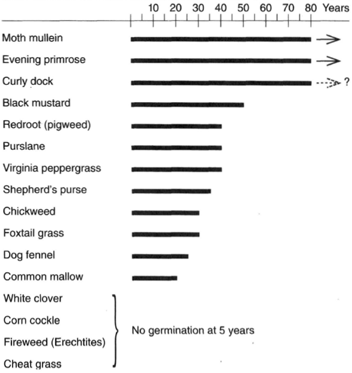 The Longevity of Seeds Based on W.J. Beak Experiment Begun in 1879 at Michigan State College.