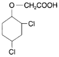 2-4 dichlorophenoxyacetic acid