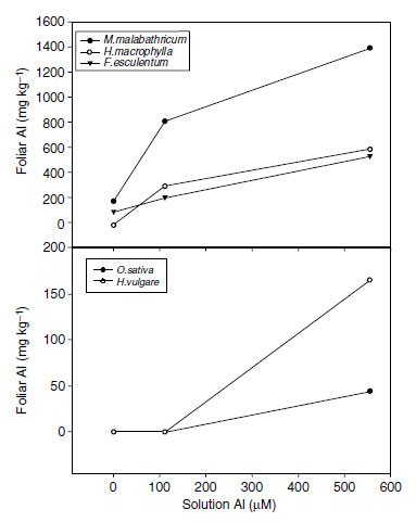The pattern of increasing foliar aluminum concentrations with increasing solution aluminum differs in aluminum accumulator species (top) and aluminum excluder species