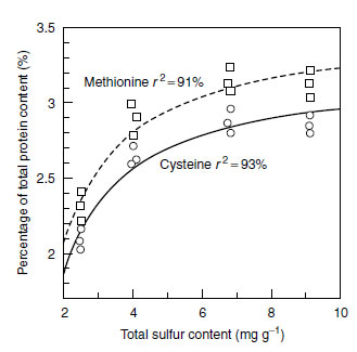 Relationship between the sulfur nutritional status of curly cabbage and the concentration of cysteine and methionine in the leaf protein