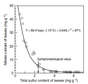 Nitrate concentrations in the dry matter of lettuce in relation to the sulfur nutritional status of the plants