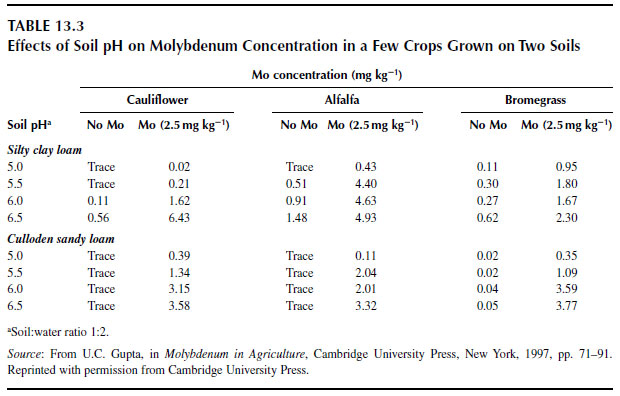 Effects of Soil pH on Molybdenum Concentration in a Few Crops Grown on Two Soils