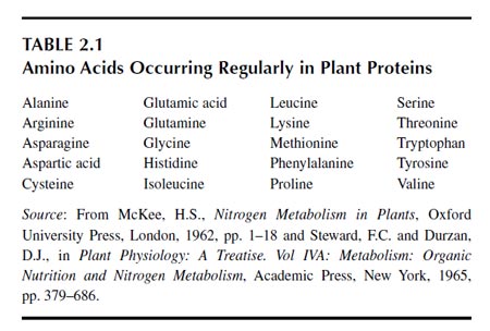 Amino Acids Occurring Regularly in Plant Proteins