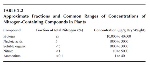 Approximate Fractions and Common Ranges of Concentrations of
Nitrogen-Containing Compounds in Plants