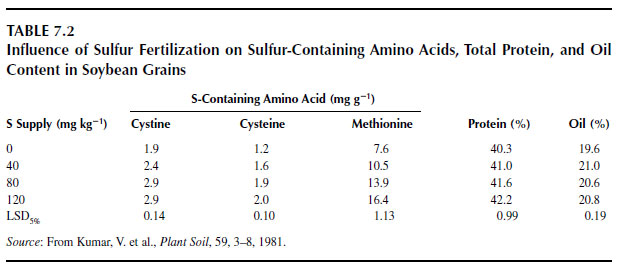 Influence of Sulfur Fertilization on Sulfur-Containing Amino Acids, Total Protein, and Oil Content in Soybean Grains
