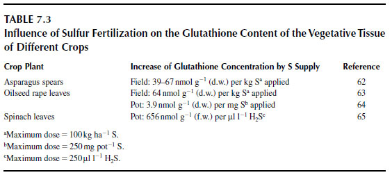 Influence of Sulfur Fertilization on the Glutathione Content of the Vegetative Tissue of Different Crops