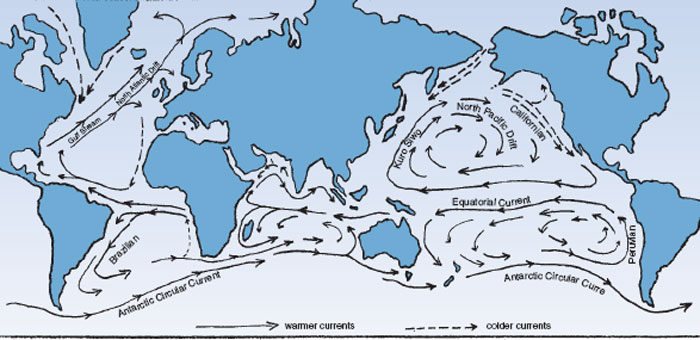 Global sea and wind movements . Warmer and colder water currents set in motion by the wind 