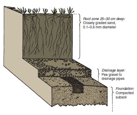 Figure 22.9 Pure sand root zone used for sportsground surfaces