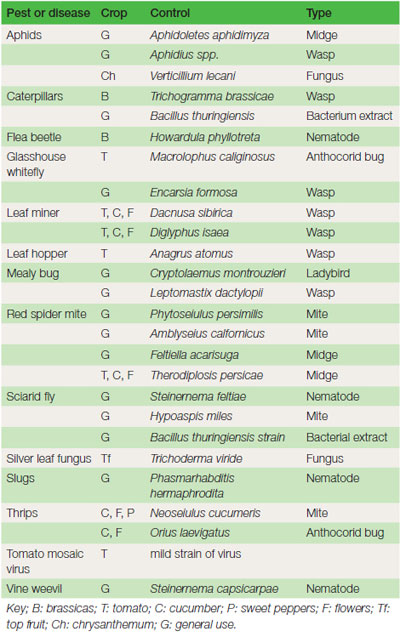 Table 16.1 Biological control organisms reared commercially for use in horticulture