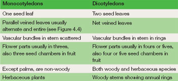 Differences between Monocotyledons and 