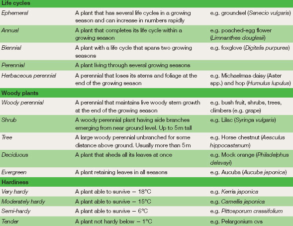 Some commonly used terms that describe the life cycles, size and survival strategies of plants