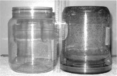 FIGURE 1 Large plastic jars used for embryo collections. The jar on the left is empty and the one on the right has a grape juice agar embryo collection plate taped to the bottom and is stocked with about 3000 adult flies as described. Holes have been cut into the sides of the jars and are covered with nylon mesh to allow efficient air circulation.