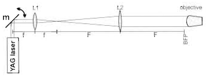 FIGURE 2 Basic optics of the trapping beam (m = m3 in Fig. 3). Focal lengths are f and F and BFP is the back focal plane of the objective.