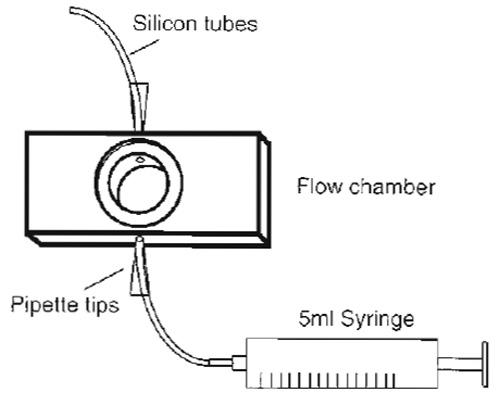 FIGURE 3 Design of a simple flow chamber. The core made of aluminium has the size of a standard microscopy slide except that it is slightly thicker. However, multiple sizes are available to suit the experimental requirements.