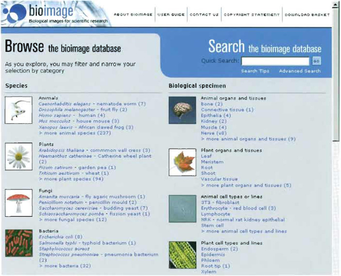 FIGURE 2 Design for the BioImage Database home page and browse interface.