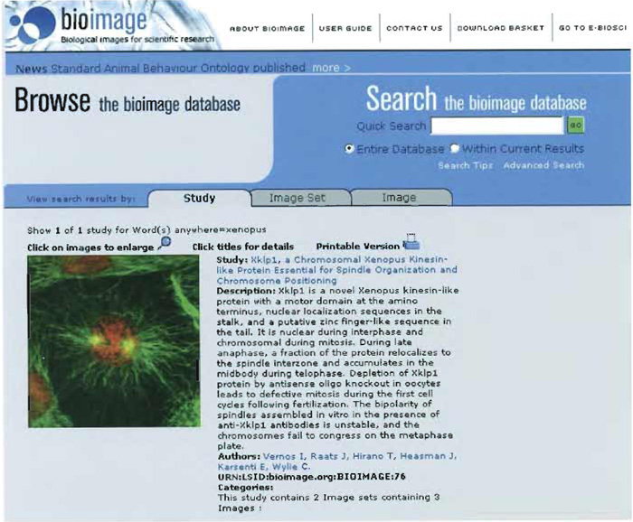 FIGURE 4 The Biolmage Database results interface, showing study results.