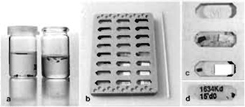 FIGURE 2 Embedding in epoxy resin. (a) Vials with
specimens during ethanol dehydration (left) and infiltration
in pure epoxy resin (right). At the start of infiltration the 
tissue blocks are placed on top of the resin and allowed to
sink to the bottom. (b) Flat embedding mold used for 
epoxy embedding. Specimens and labels are placed in the
wells. The wooden stick (right) is used to orient blocks 
and labels in the resin. (c) Enlargement of central wells 
showing specimen and label without resin (below), 
specimen with label and epoxy (middle), and empty well 
(top). (d) Polymerized epoxy block with label seen from 
back side.