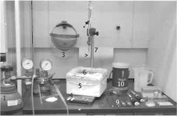 FIGURE 3 Working setup as typically used for freeze plunging. (1) Gaseous ethane bottle, (2) regulator valve with Tygon tubing and pipette tip, (3) full face shield, (4) filter paper strips, (5) polystyrene box for liquid nitrogen, (6) small container (sitting on an aluminum block) for condensing ethane, (7) plunger arm, fixed with a pair of forceps holding the grid (arrowhead), (8) 50-ml conical tube for grid box storage, (9) tools (fine and large forceps, screwdrivers), and (10) sample transport dewar. For details, see text.