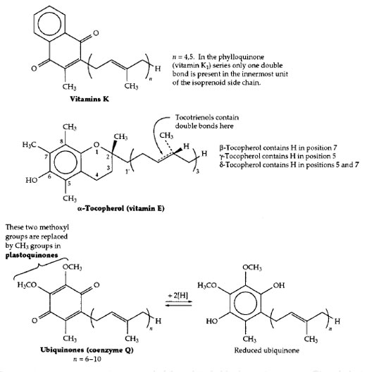 Structures of vitamins K and E and of the related ubiquinone (coenzyme Q) and plastoquinone