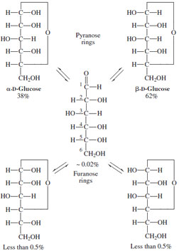 Equilibrium mixture of D-glucose in aqueous solution.