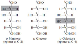 7 Relationship between D-glucose and D-galactose (4-epimer), and D-</span>mannose (2-epimer).