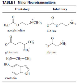 Major Neurotransmitters