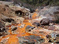 The ARMAN are a new group of archaea recently discovered in acid mine drainage.