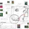 Landscape Design, Garden Design, Landscape garden layoutesign