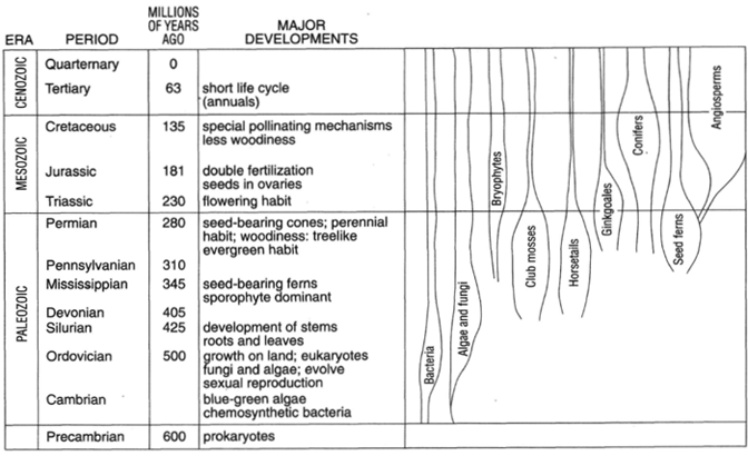 Geological Time Chart Showing The Rise and Decline of Various Plant Forms.
