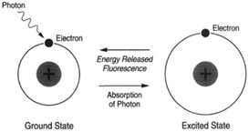 Energy from light can cause an electron of a chlorophyll molecule to dislodge from its orbit  and move toa higher orbit. The electron may then immediately fall back to its original orbit, thereby releasing energy and, ins o doing, causing an emission of light (fluorescence).
