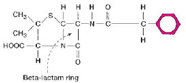 Penicillin G (shown) and many of its derivatives are inactivated by a beta-lactamase (penicillinase). The enzyme breaks open the beta-lactam ring, which is a common part of the molecular structure of these antimicrobial agents.