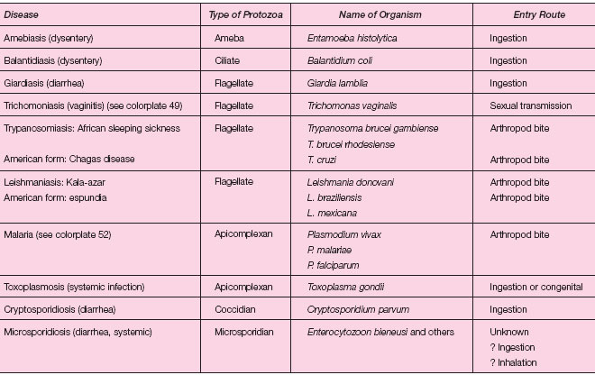 Pathogenic Protozoa
