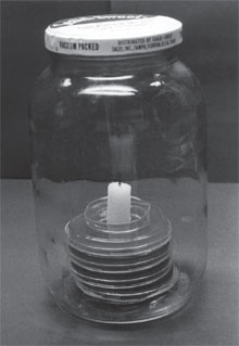 A closed candle jar containing petri plate cultures. The candle flame has gone out because the remaining oxygen is