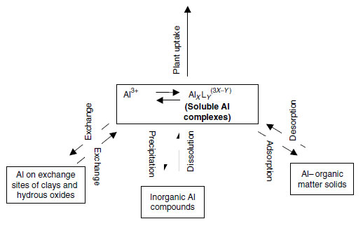 Processes controlling forms, solubility, and availability of Al in soils